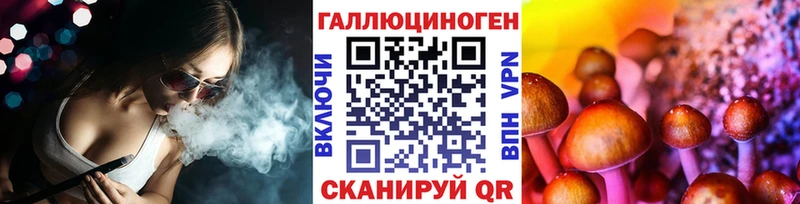 Псилоцибиновые грибы Psilocybe  Кострома 