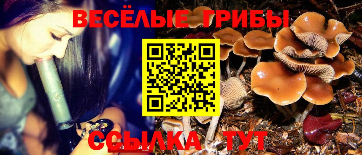 Галлюциногенные грибы GOLDEN TEACHER Кострома